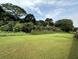 Springleaf Garden (D26), Semi-Detached #482003061